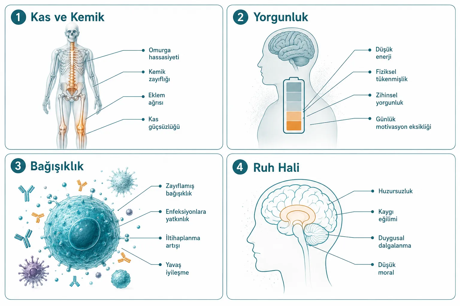 D Vitamini Eksikliğinin Belirtileri Nelerdir?
